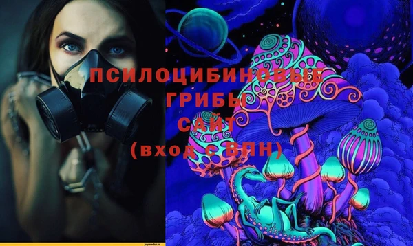 крисы Покровск