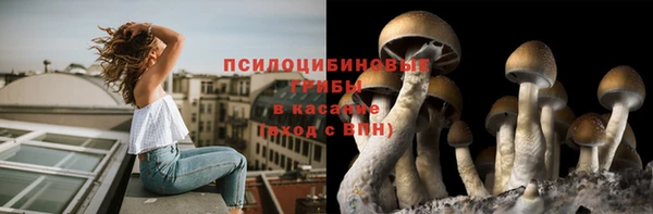 шишки Абдулино