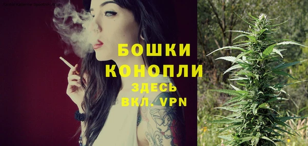 шишки Абдулино