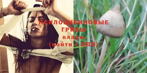 дмт Абинск