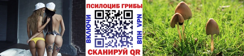 Псилоцибиновые грибы Magic Shrooms  МЕГА ССЫЛКА  Бирюсинск 